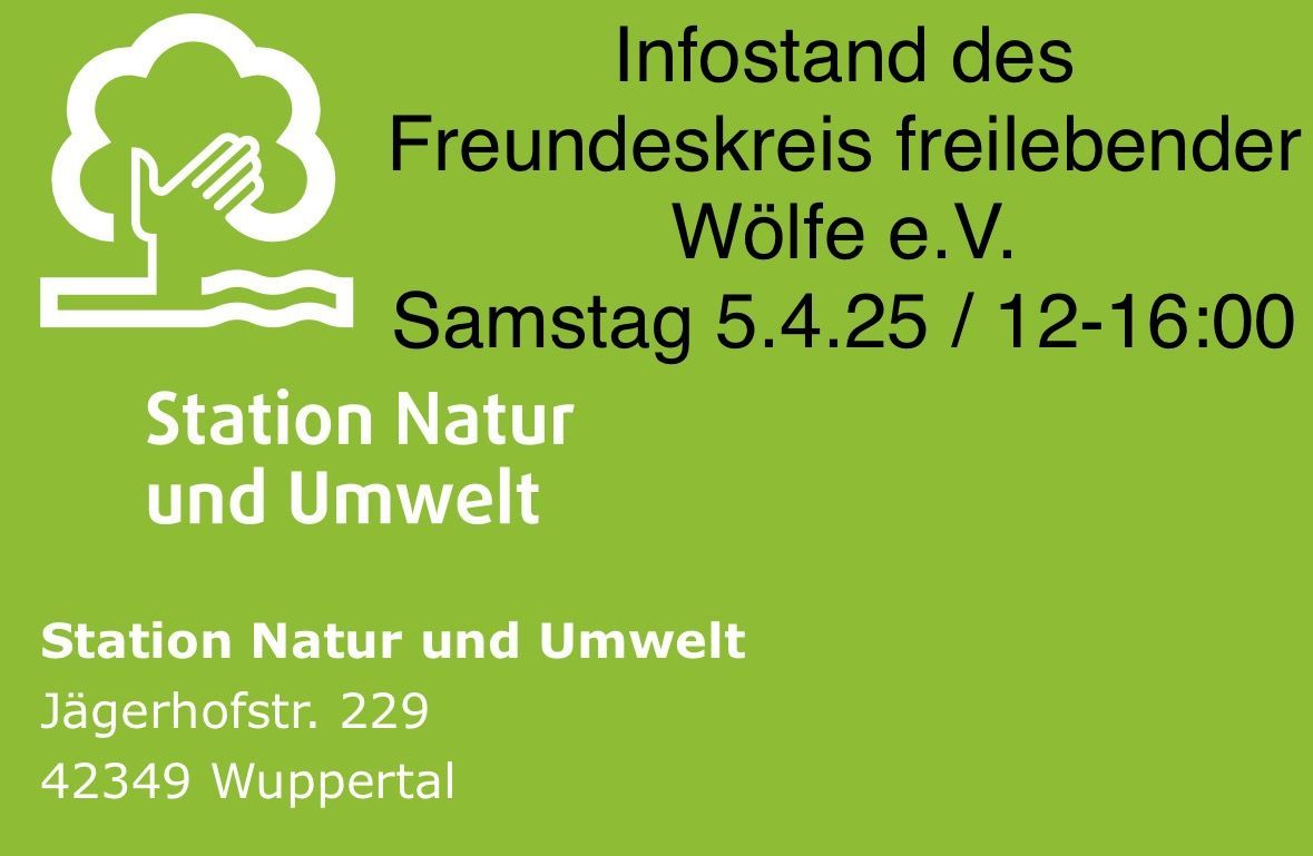 Bild Infostand Wuppertal Bild Infostand Wuppertal