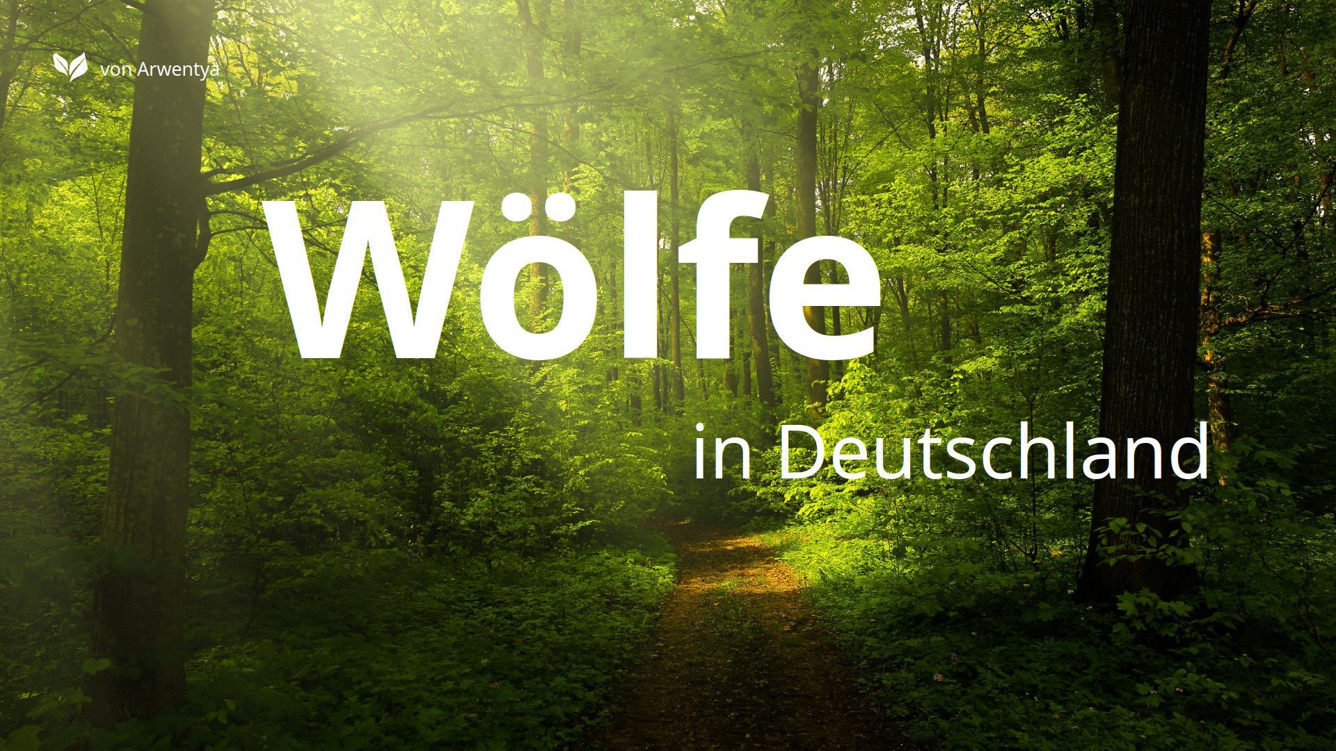 Bild 1 Vortrag in Rostock