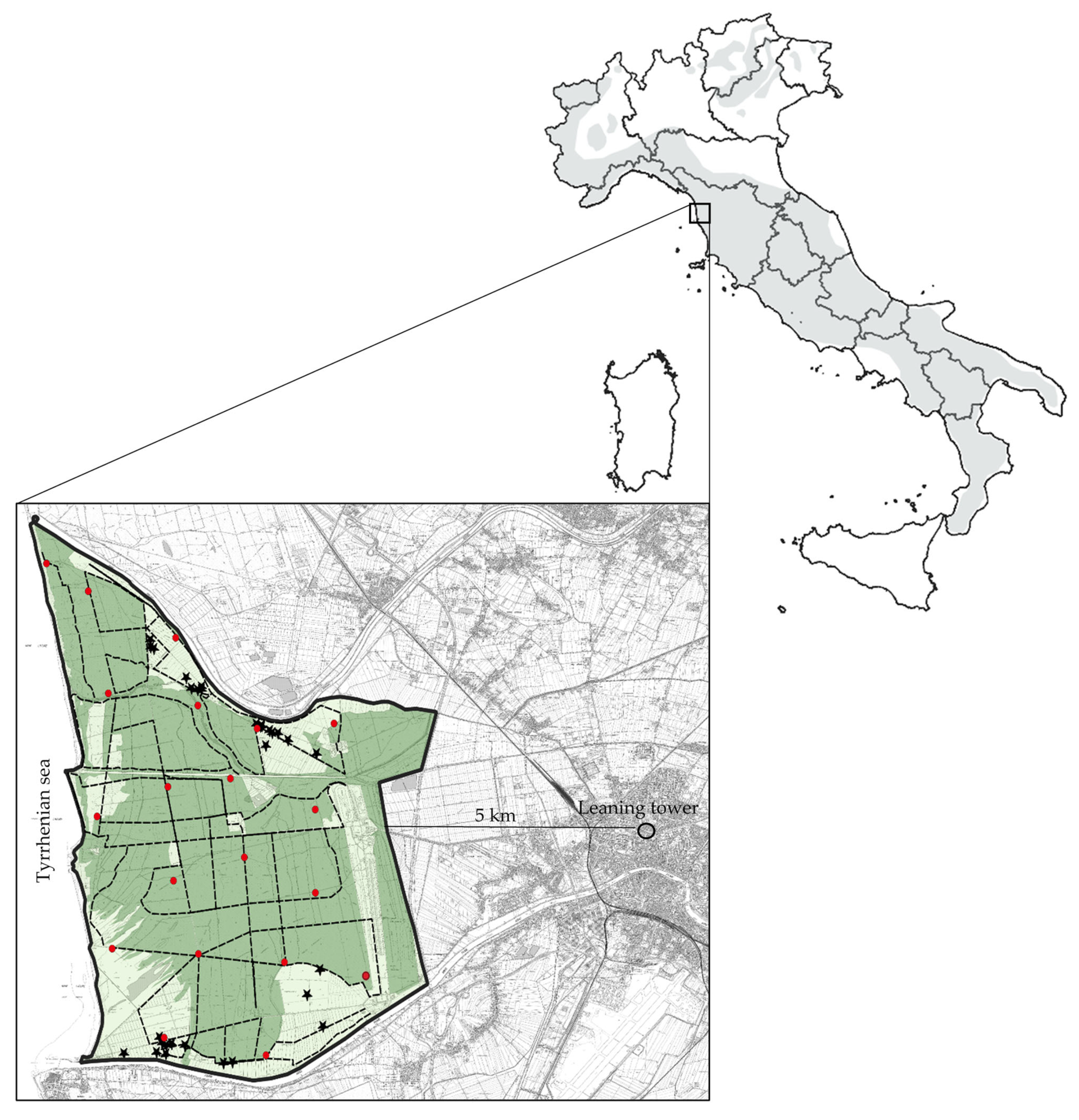 Abb.: Das Untersuchungsgebiet 5 km westlich von Pisa, Italien.