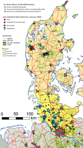 Bild: Karte der Halbinsel Jütland, mit verifizierten (C1) Beobachtungen genotypisierter Wölfe, 2007 bis 1. Januar 2020