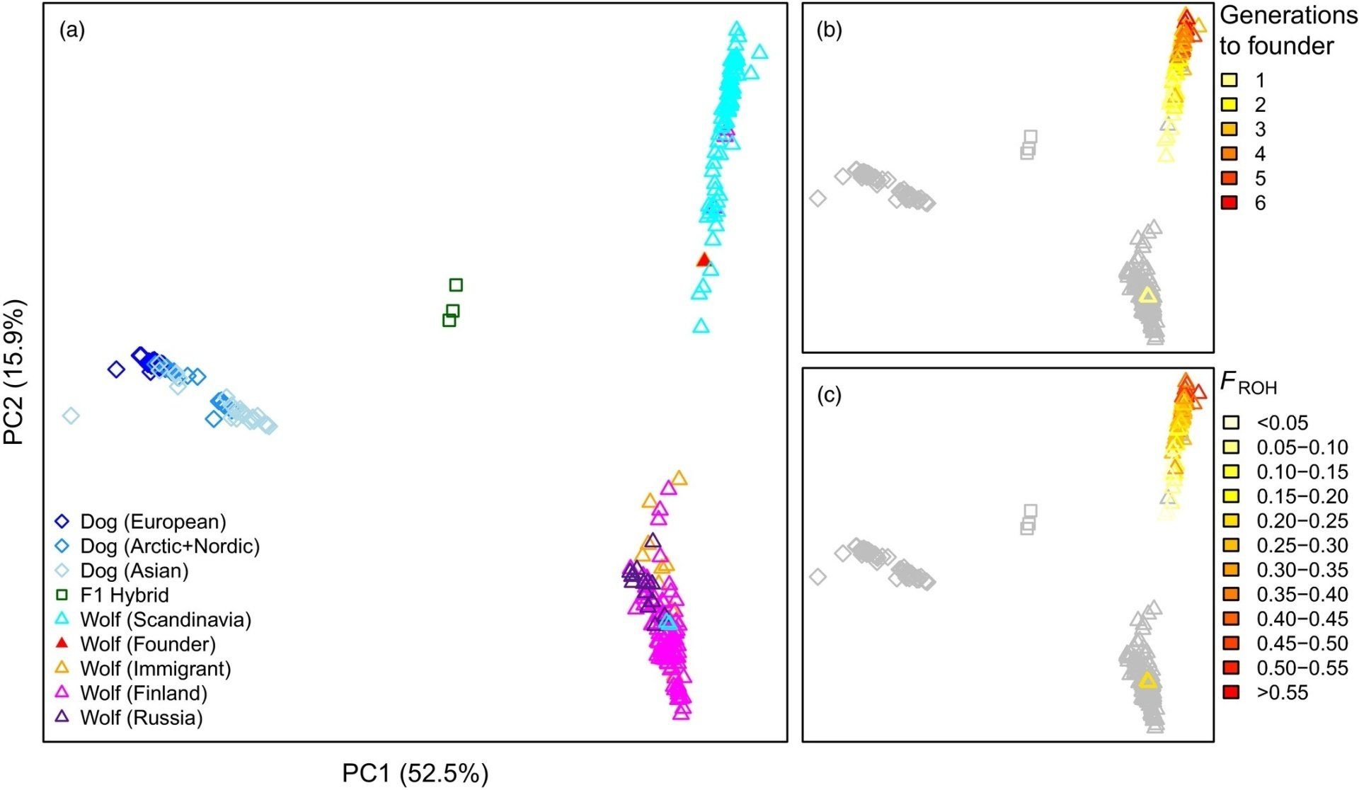 PCA of wolves and dogs based on whole‐genome sequence data