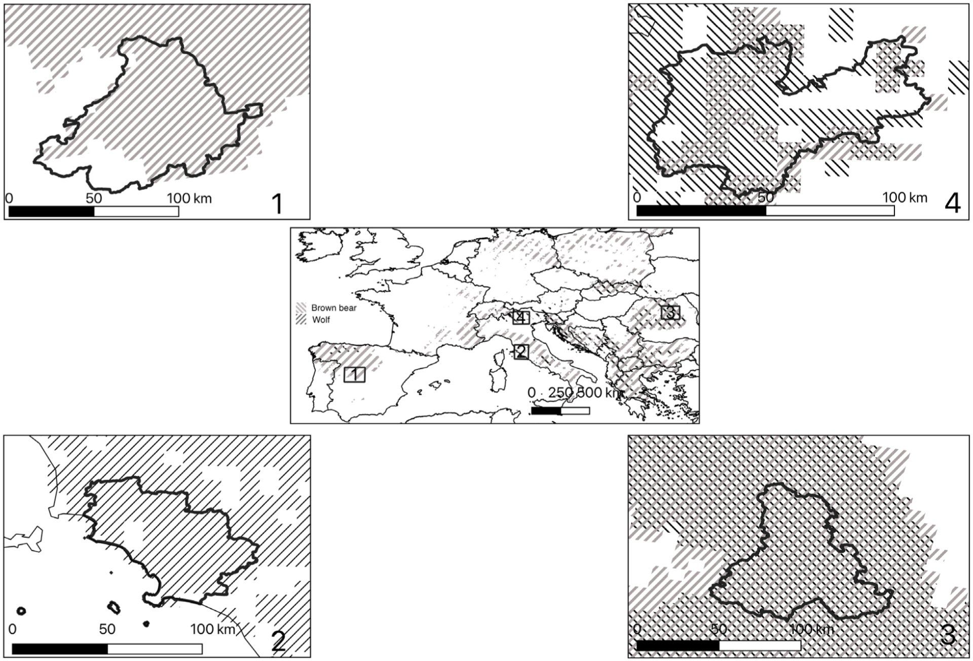 Location of the study sites with respect to the distribution of the large carnivores involved in the study: brown bear (Ursus arctos) and wolf (Canis lupus).