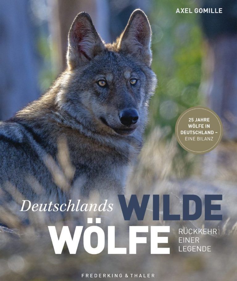 Bild Buch