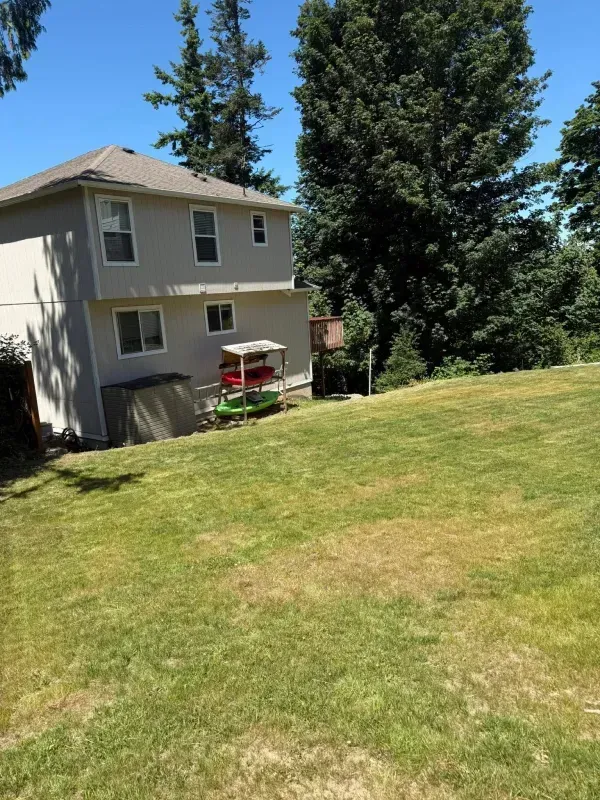 Two-story beige house with a large backyard and lush green grass, under a blue sky.