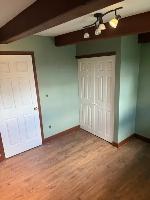 A room with green walls, brown trim, wood floor, white doors and a ceiling light.