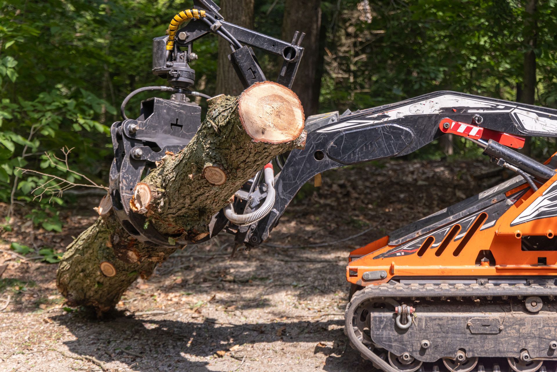 Orange and black tracked machine lifting a large tree log in a wooded area. Orange and black tracked machine lifting a large tree log in a wooded area.