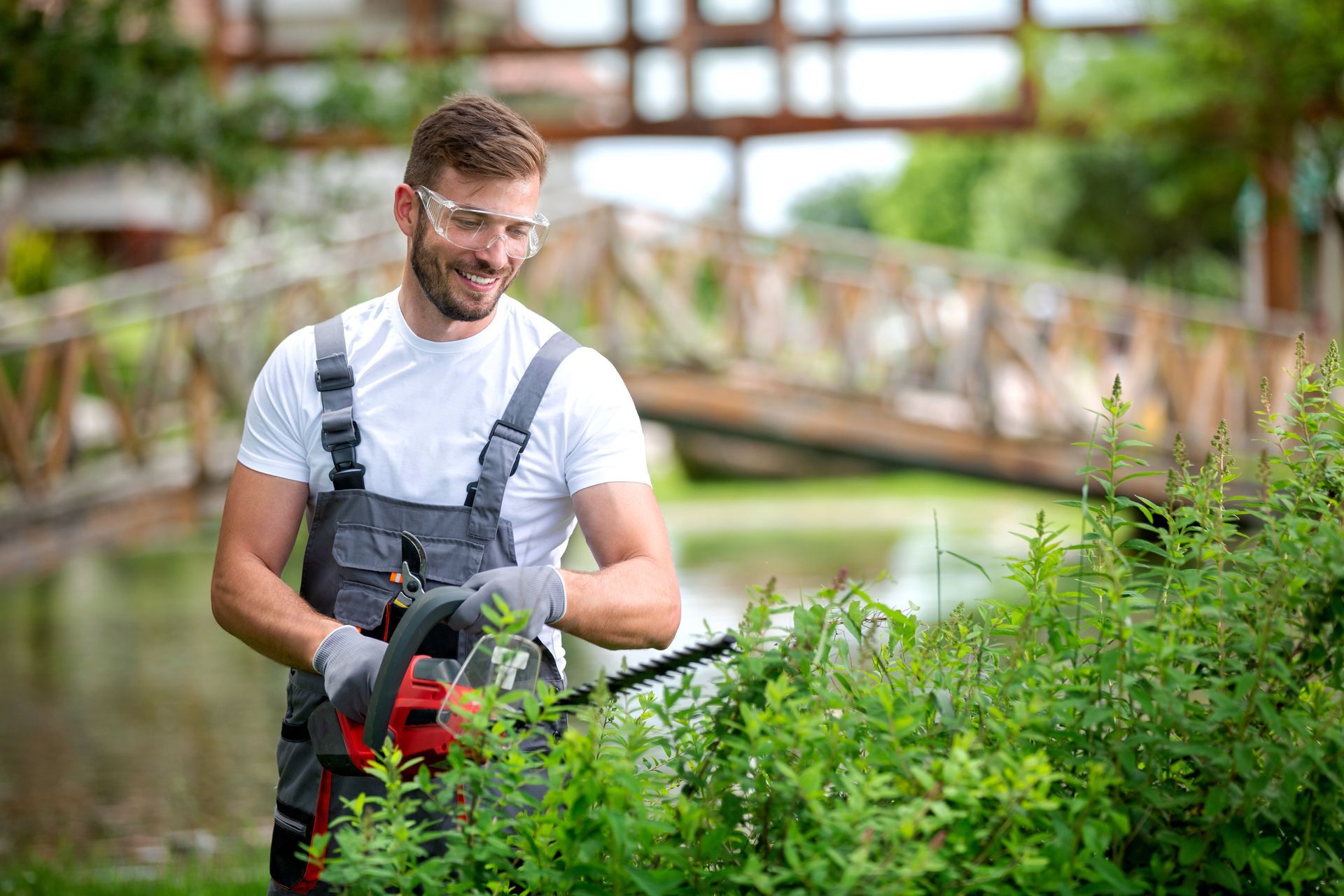 Gardener trimming bushes with electric shears, smiling. Outdoors near water with bridge. Gardener trimming bushes with electric shears, smiling. Outdoors near water with bridge.