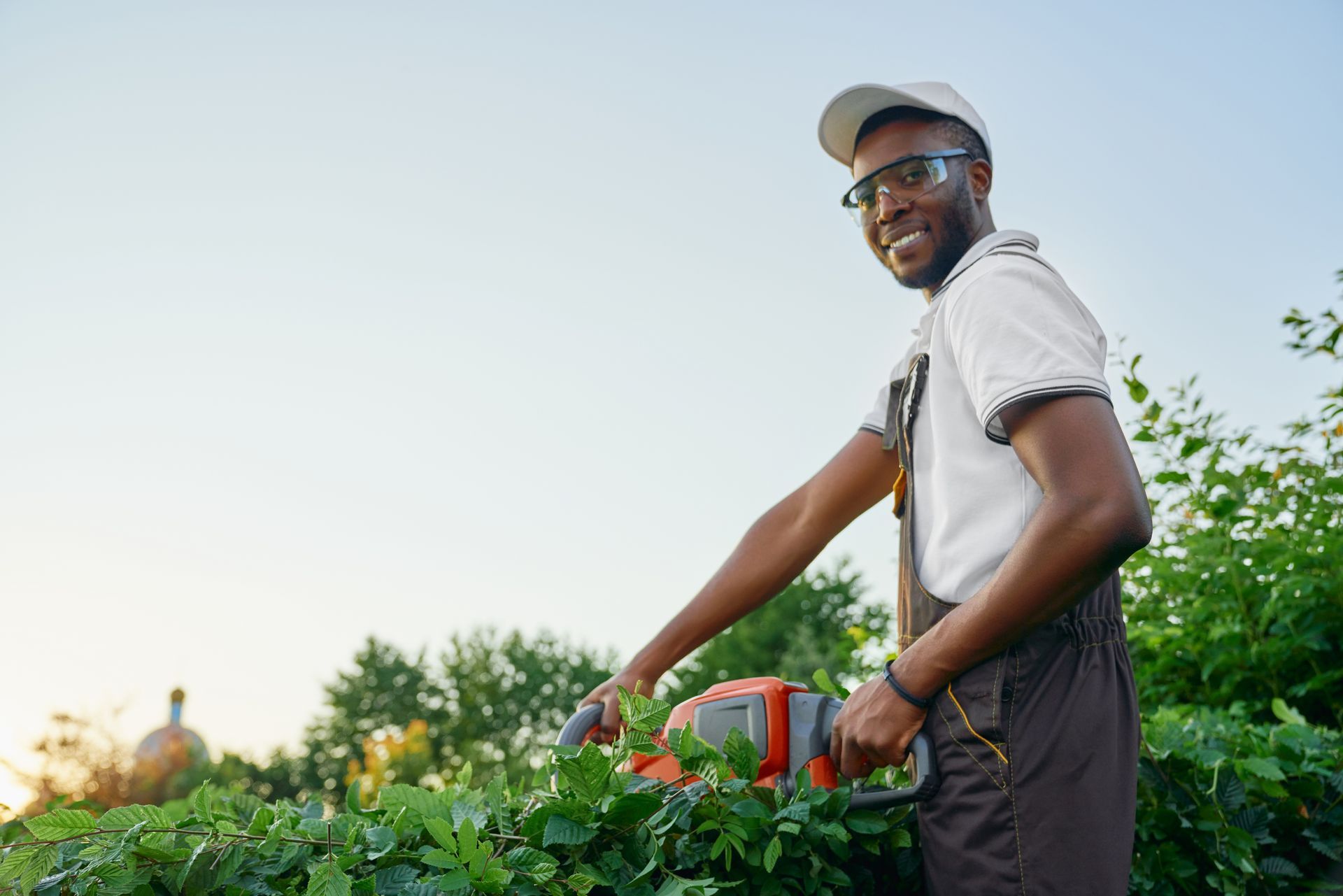 Person wearing safety glasses and a cap trimming bushes with an orange hedge trimmer. Person wearing safety glasses and a cap trimming bushes with an orange hedge trimmer.