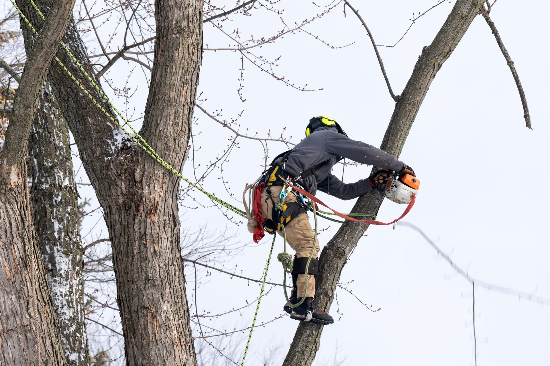 Arborist in safety gear uses a chainsaw to cut a tree branch. Snowy, outdoor setting. Arborist in safety gear uses a chainsaw to cut a tree branch. Snowy, outdoor setting.