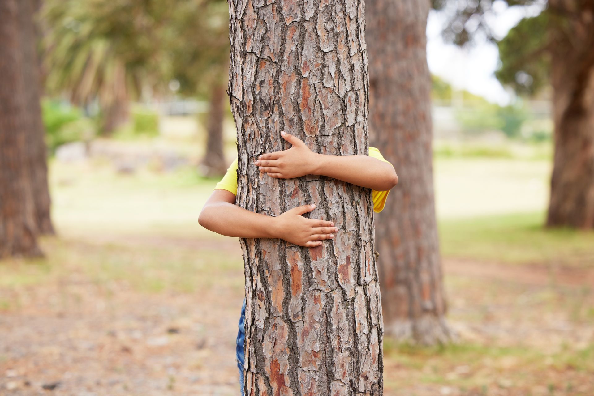 Person hugging a tree in a park. Yellow shirt, brown tree bark, green background. Person hugging a tree in a park. Yellow shirt, brown tree bark, green background.