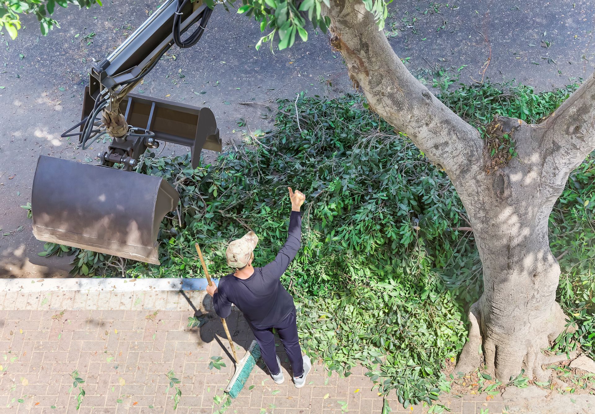Overhead view: Person raking leaves, pointing at a pile. A tree, equipment, and a sidewalk are visible. Overhead view: Person raking leaves, pointing at a pile. A tree, equipment, and a sidewalk are visible.