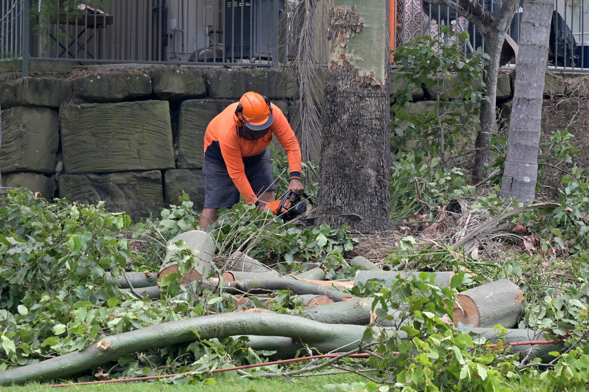 Arborist in orange shirt and helmet using a chainsaw to cut tree branches outdoors. Arborist in orange shirt and helmet using a chainsaw to cut tree branches outdoors.