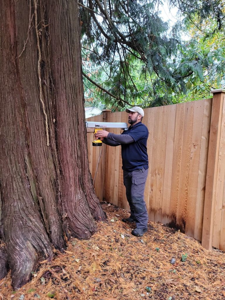 Arborist cutting tree with chainsaw, wearing protective helmet and face shield, in sunlight.
