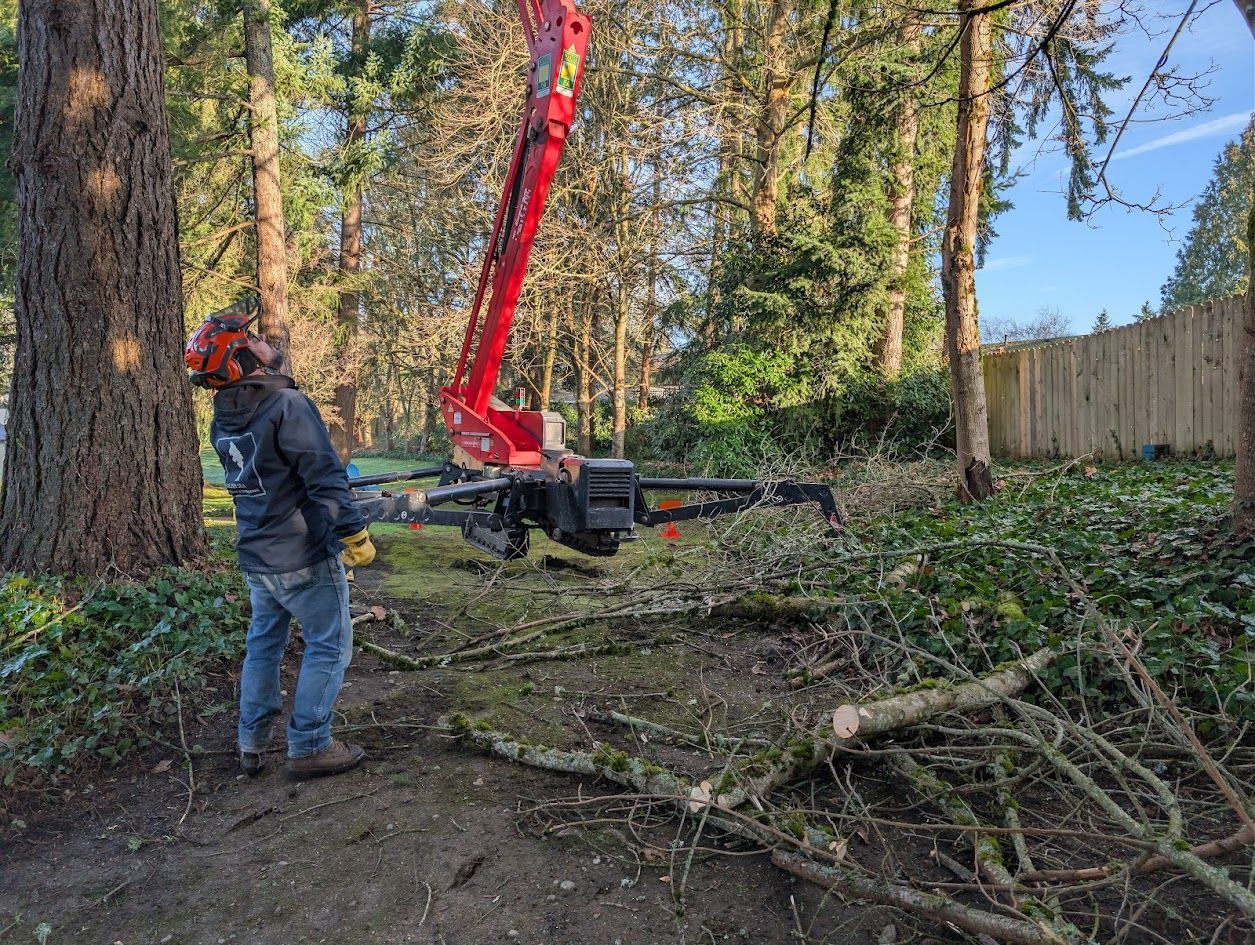 Man in safety gear operates a tree chipper in a wooded area, surrounded by cut branches. Man in safety gear operates a tree chipper in a wooded area, surrounded by cut branches.