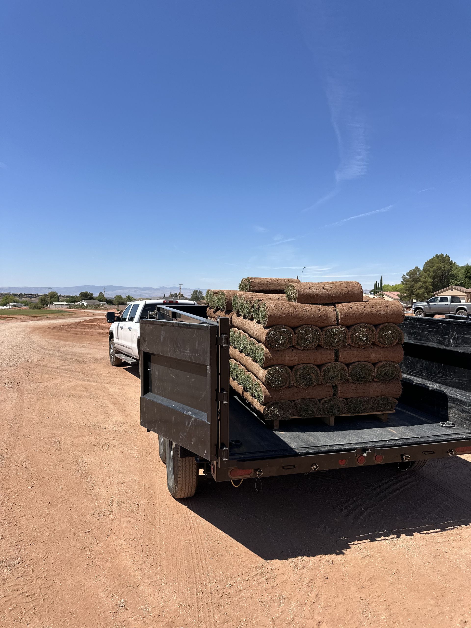 Green grass with long shadows from sunlight.