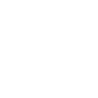 Local market icon