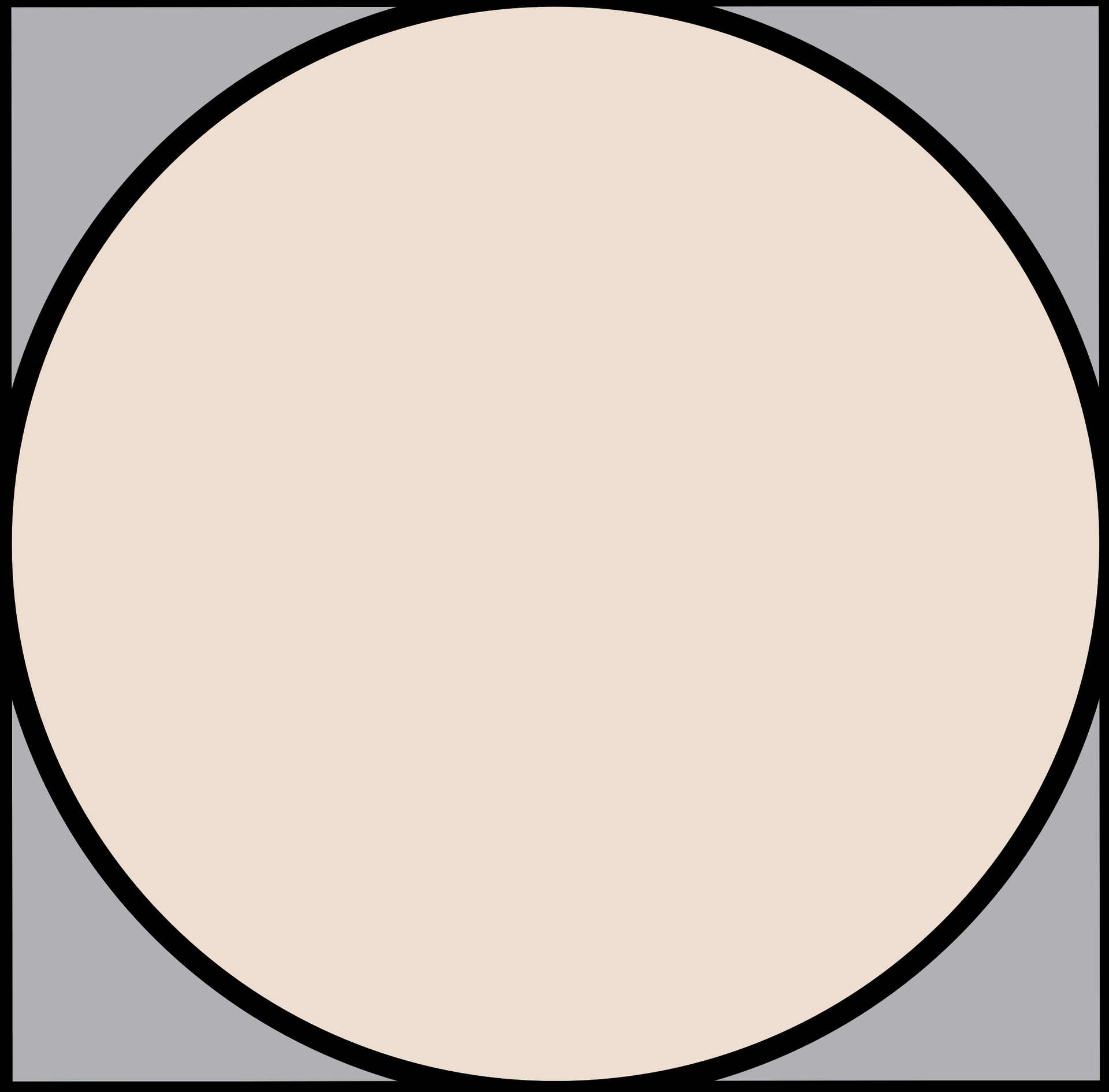 Un grand cercle beige centré dans un carré gris à contour noir.