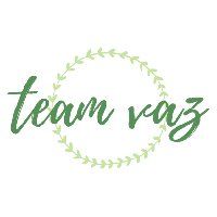 logo team vaz