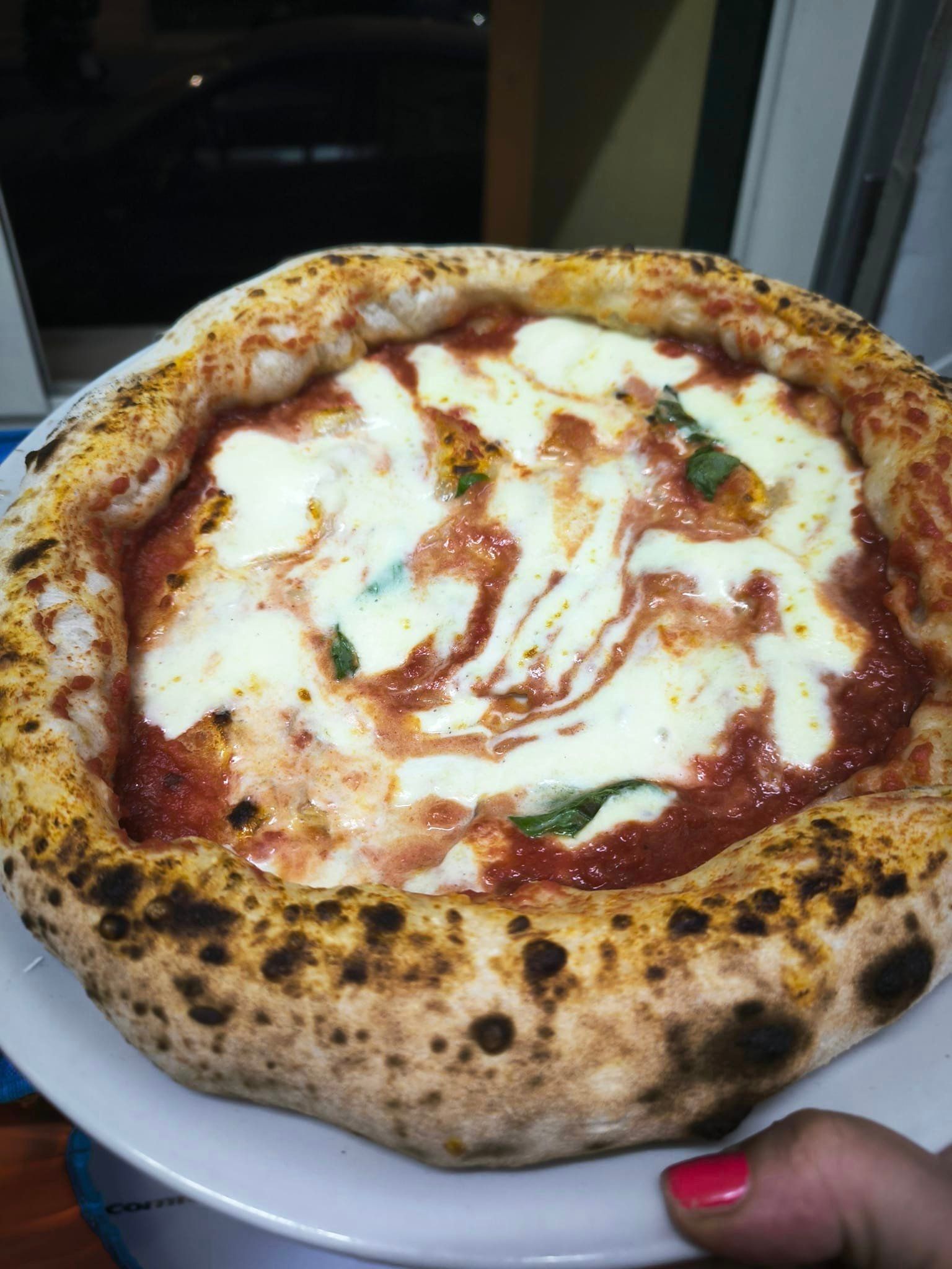 pizza margherita