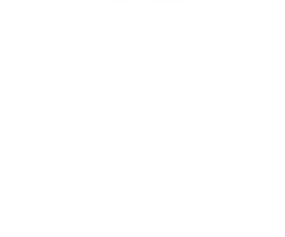 The Blair logo