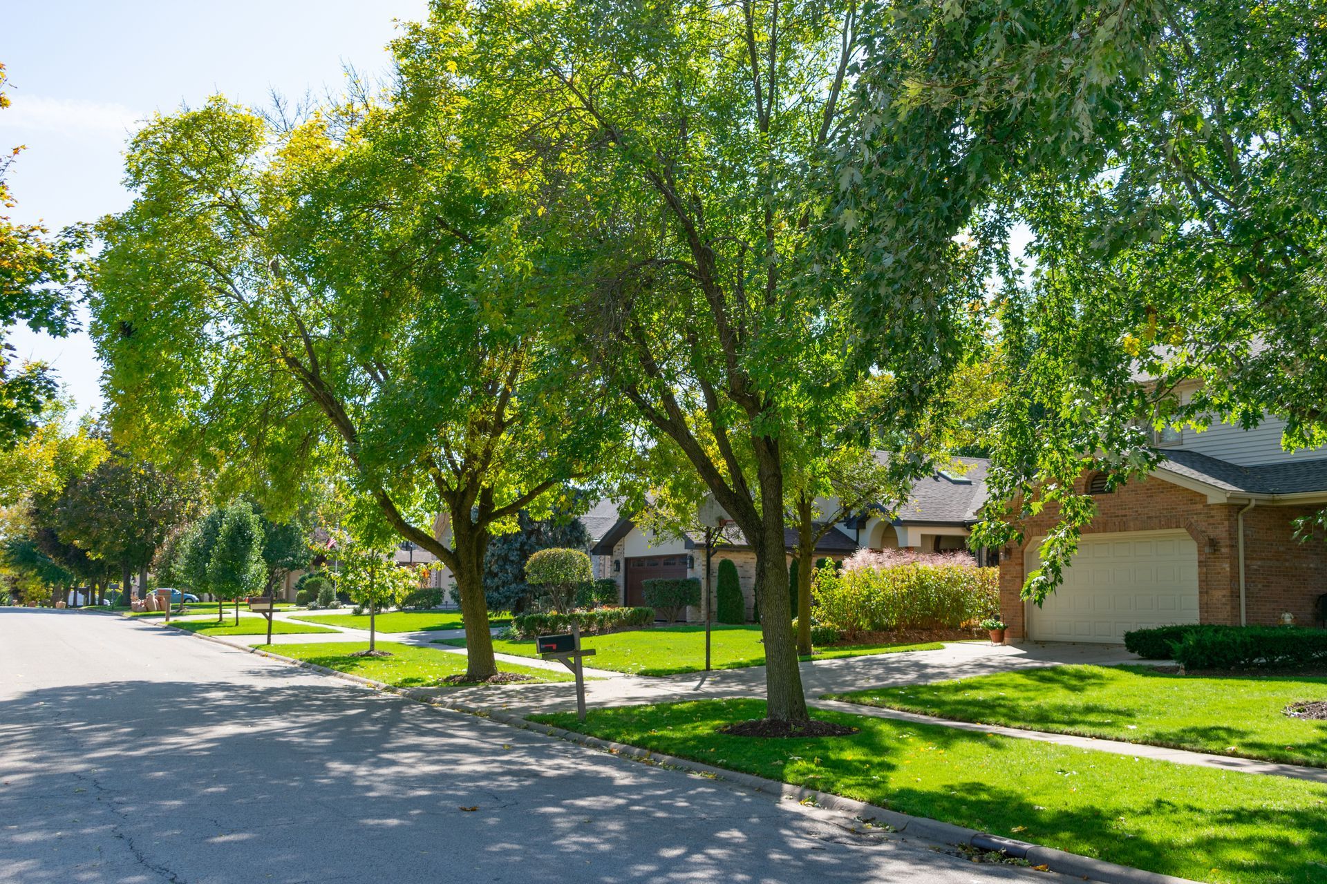 A residential neighborhood with lots of trees and houses on a sunny day.