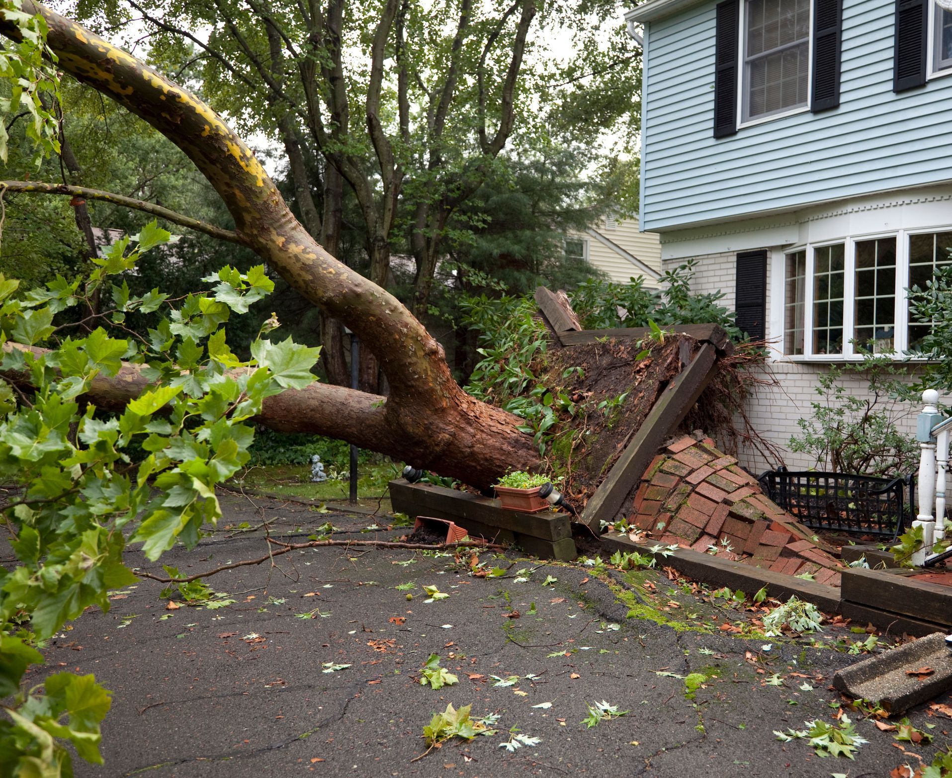 A tree has fallen on a brick wall in front of a house.