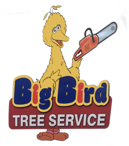 Big Bird Tree Service