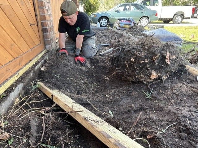 Person kneeling, working in dirt, near a wooden door and large tree roots. Red gloves, green shirt.