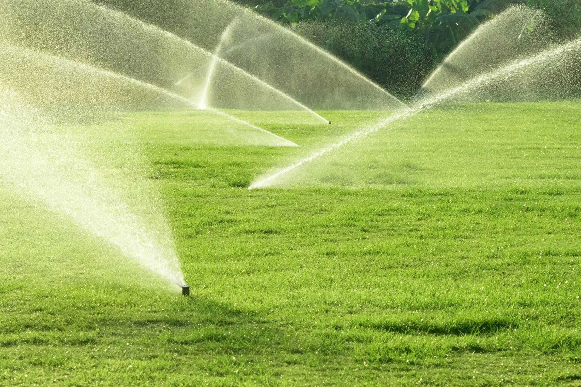 Sprinklers & Irrigation
