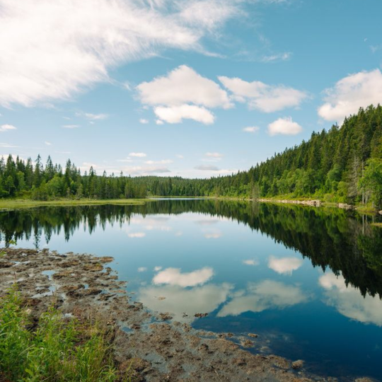 Calm forest lake reflecting blue sky and clouds, with green trees and rocky shoreline