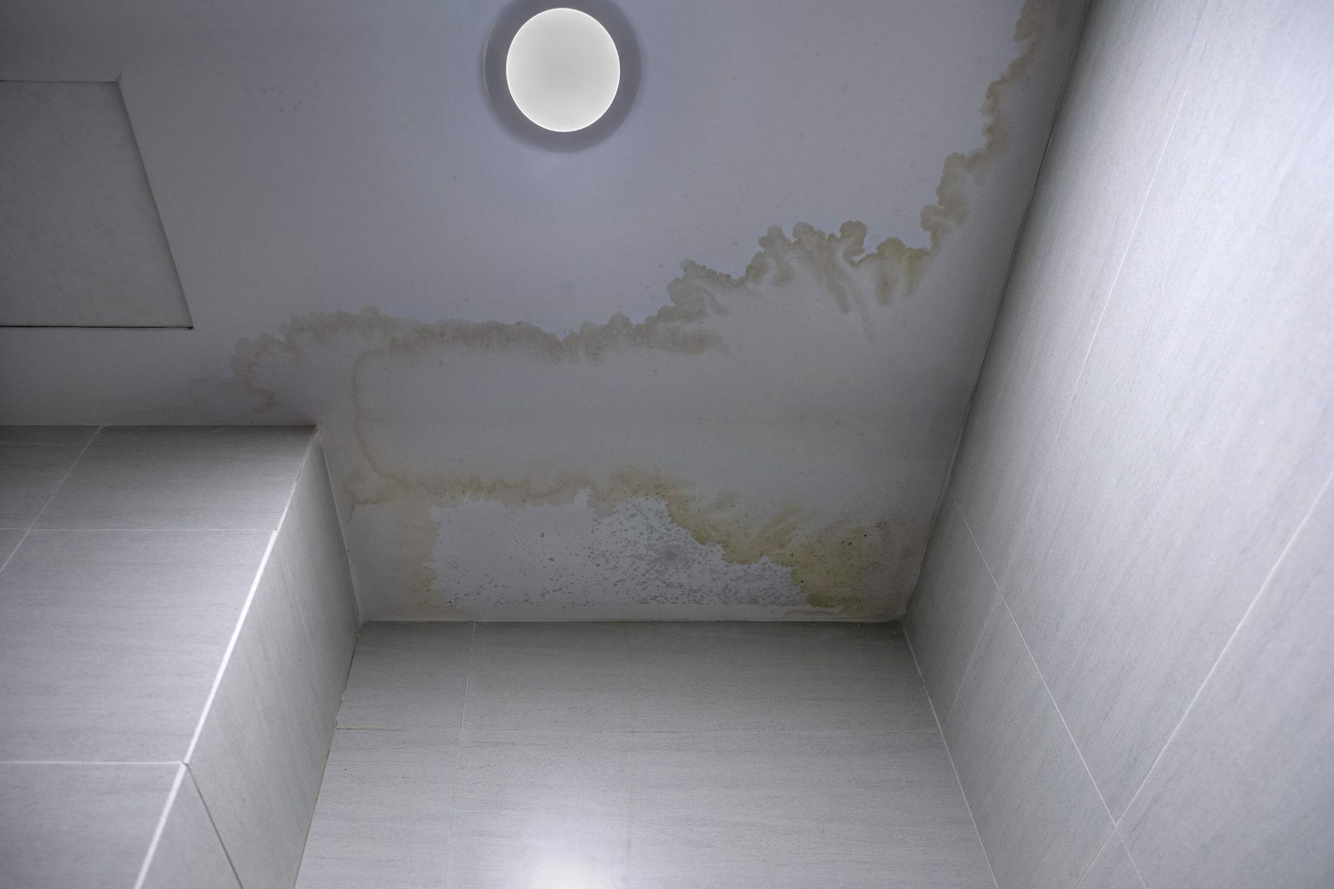 signs of water damage to ceilings