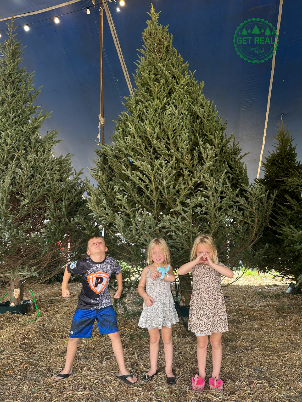 Three children are standing in front of a christmas tree.