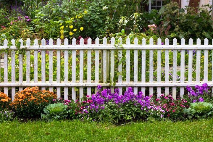 White picket fence in front of a colorful flower garden.
