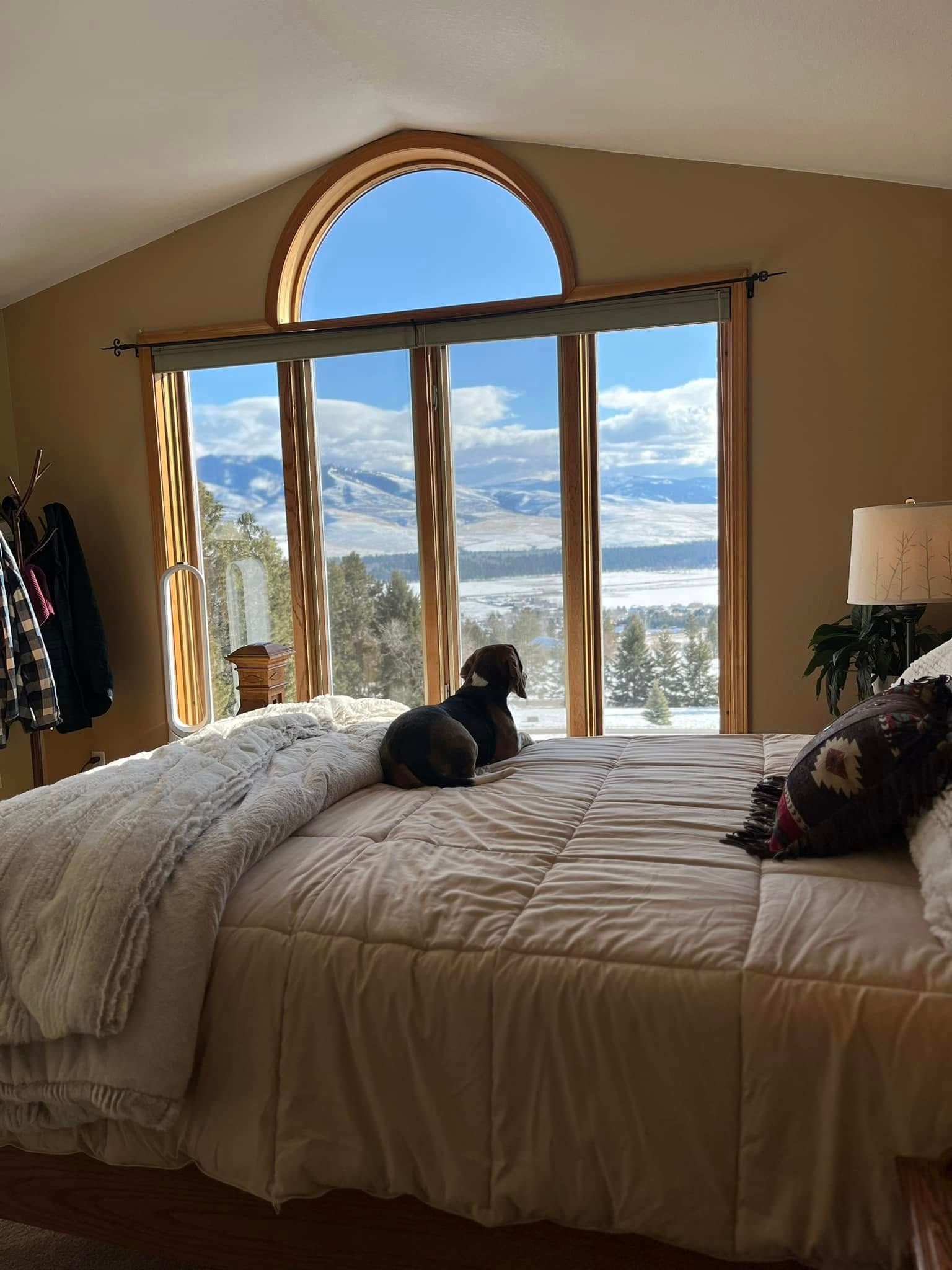 A small dog sits on a bed, looking out large, arched windows at a snowy mountain landscape.