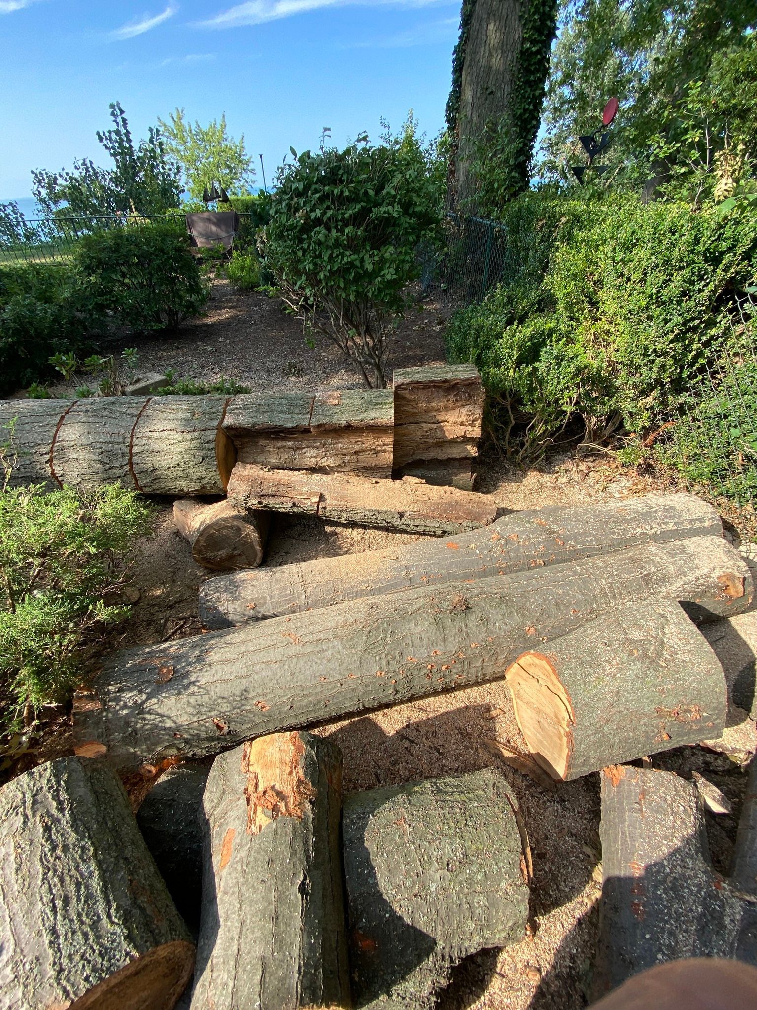 Logs stacked as steps in a wooded area, with greenery and a blue sky visible.