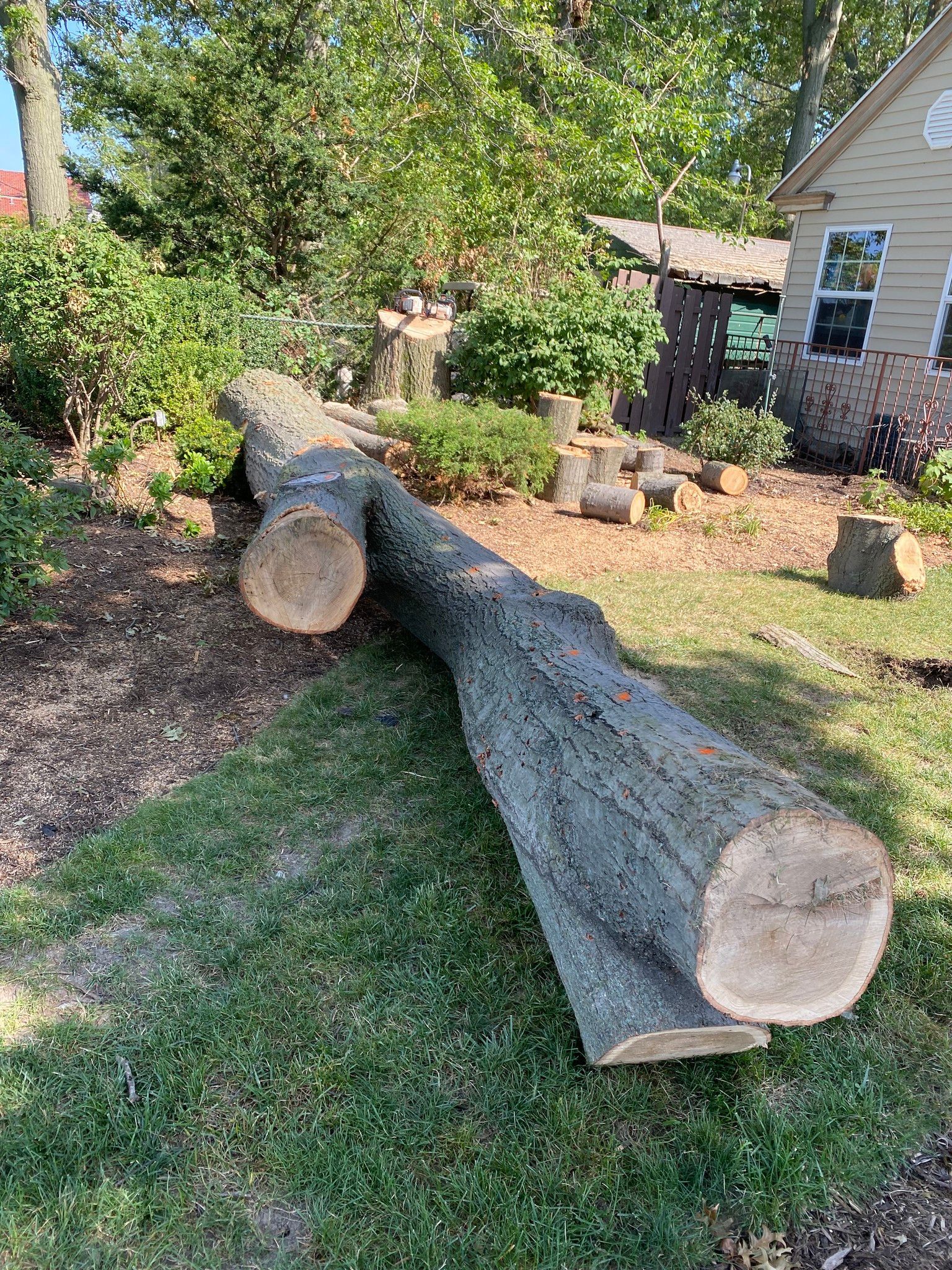 Cut tree trunk on grass in front of a house, with a small garden and trees in the background.