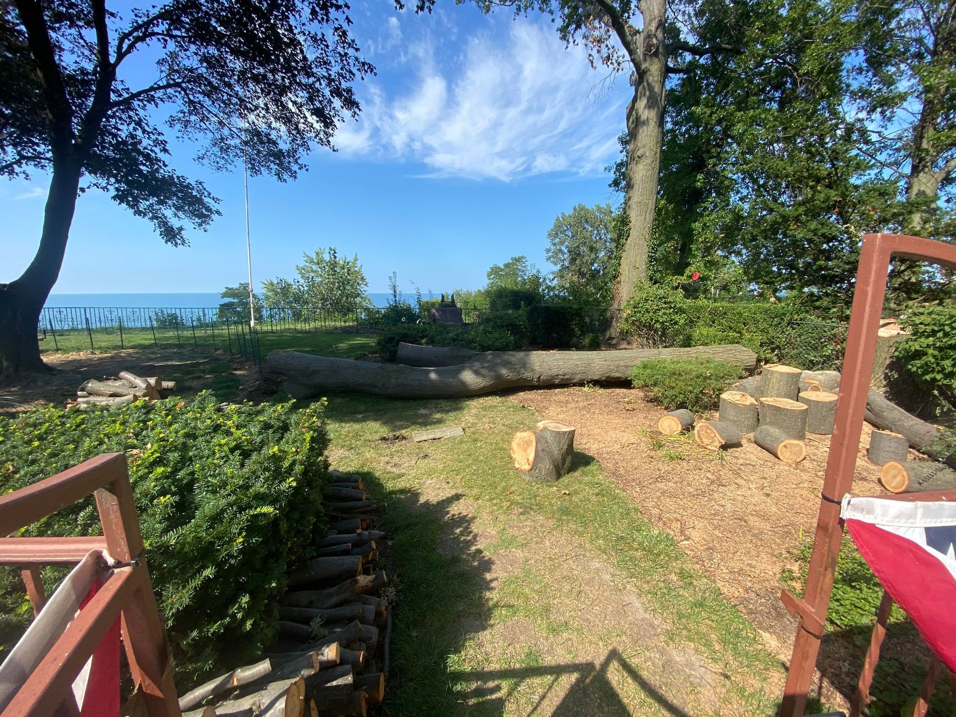 Trees felled on a grassy hillside overlooking a body of water under a blue sky.