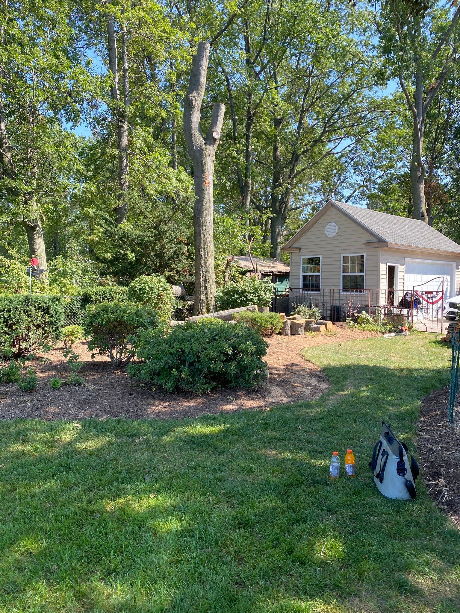 Backyard with small building, trees, and green lawn; bottles and bag in the grass.