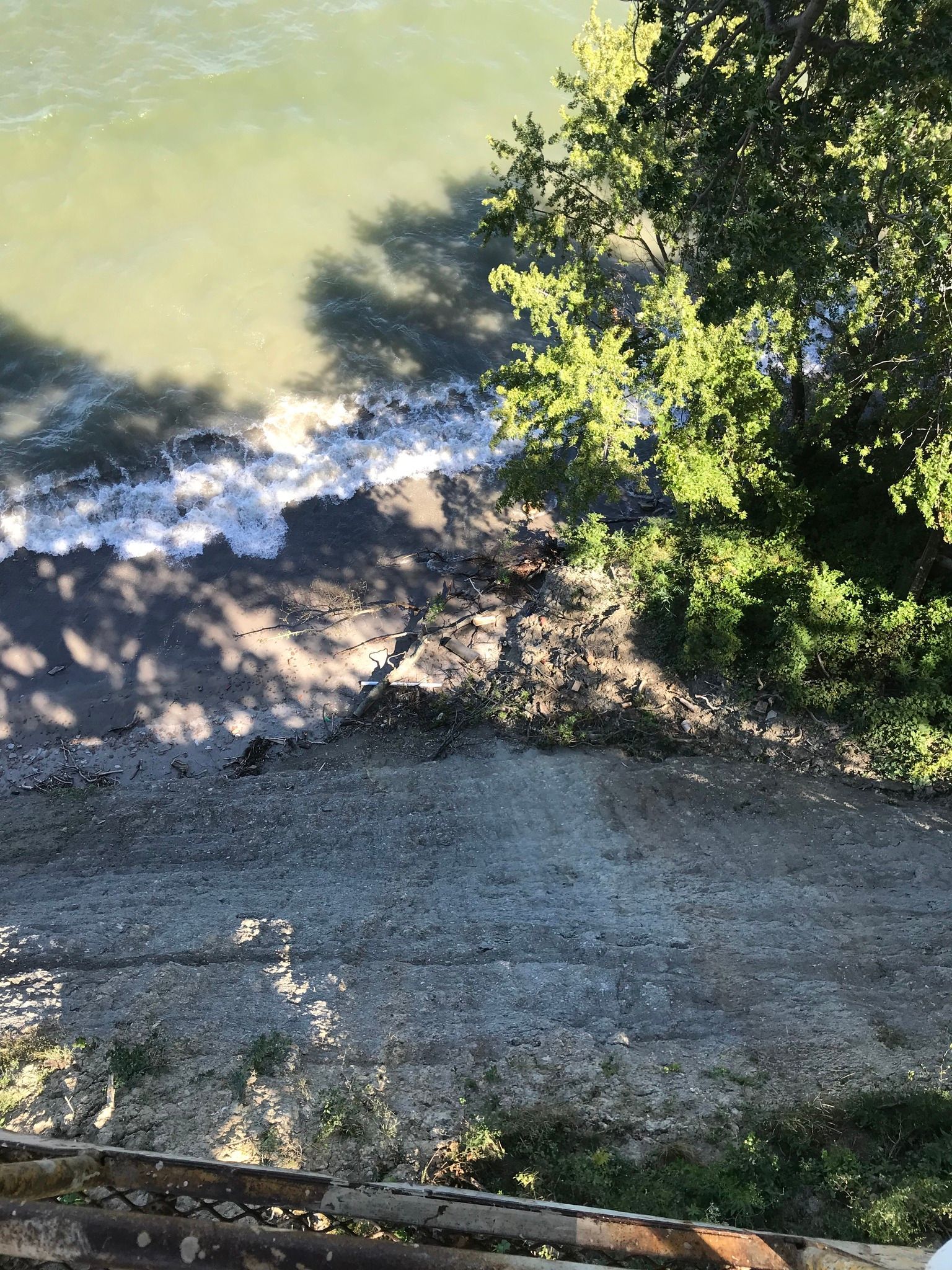 Overhead view of water, shore, and trees; water hitting the shore, casting shadows on the land.