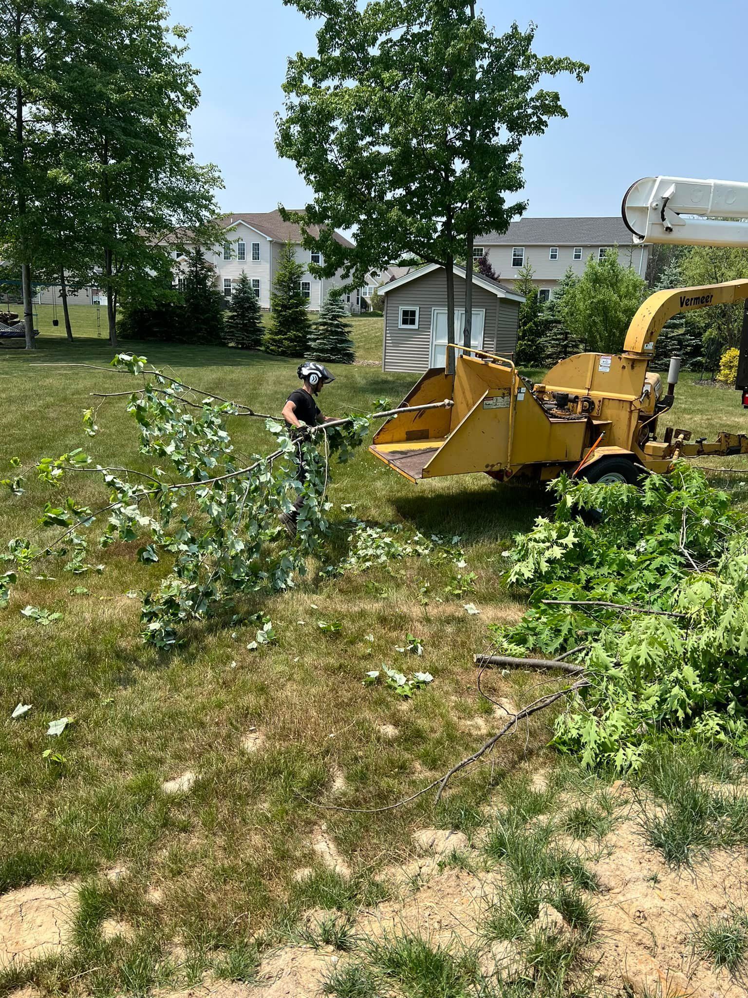Person using a wood chipper to shred branches in a grassy yard, with trees and houses in the background on a sunny day.