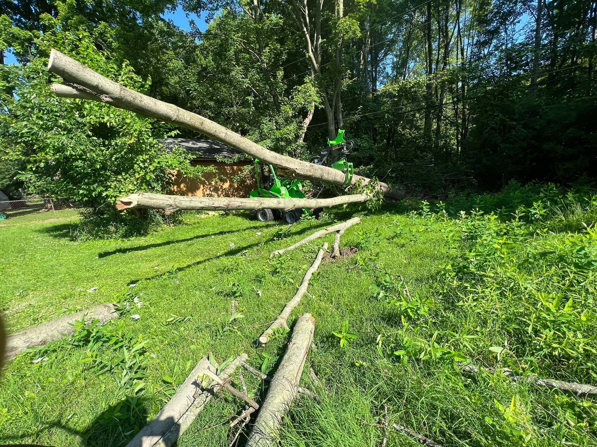 Green tractor with felled tree branches on green grass.
