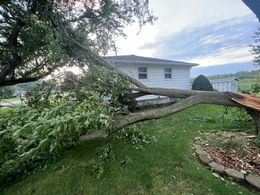 Large tree fallen onto the roof of a white house, green lawn, overcast sky.