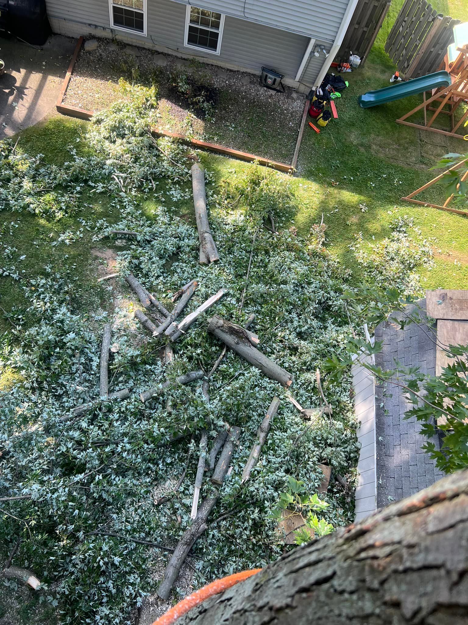 A top-down view of a tree cutting, with branches and leaves on the ground, a house, and a playground in the background.