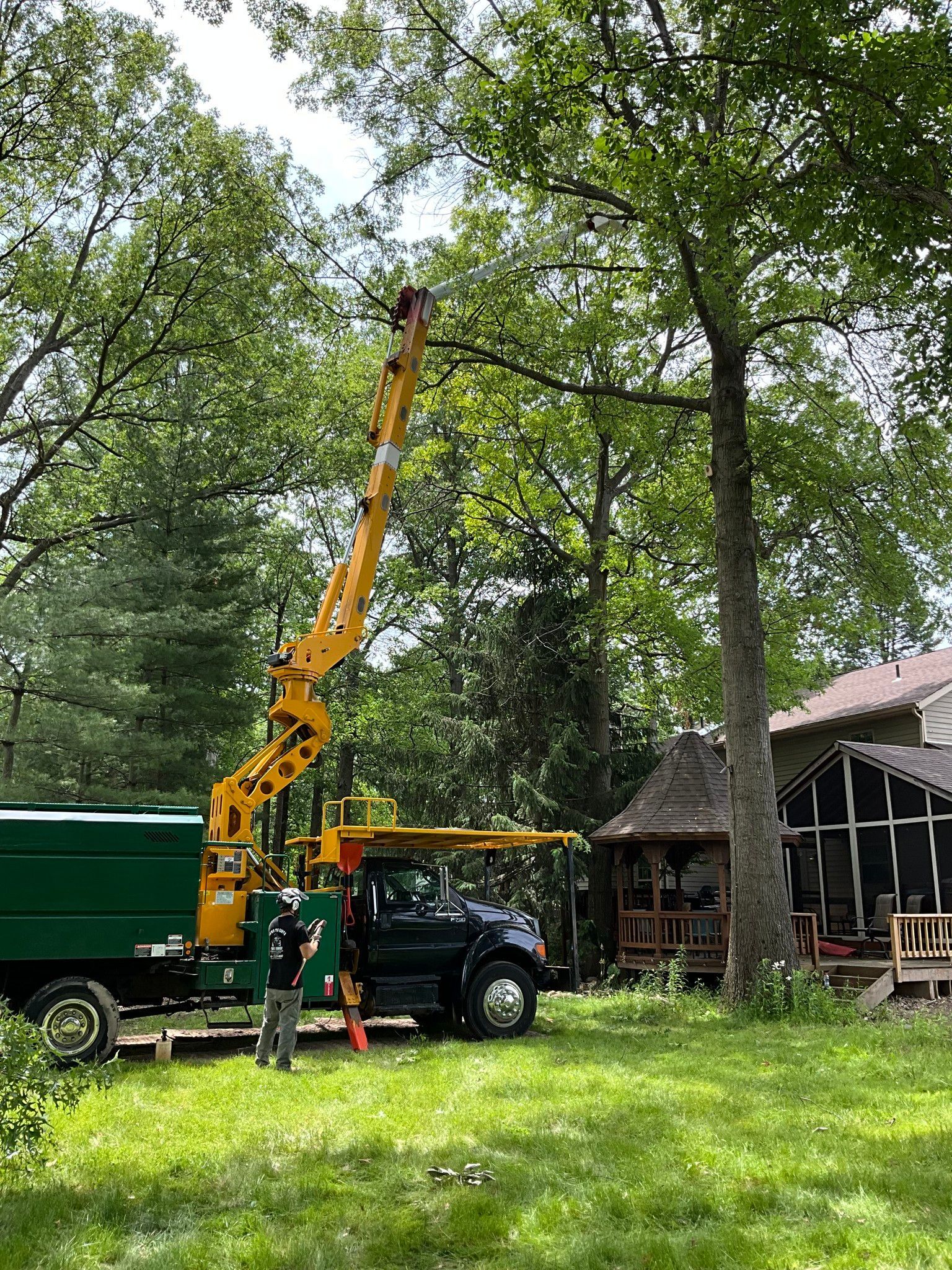A tree service truck with an extended arm trimming a tall tree near a house.