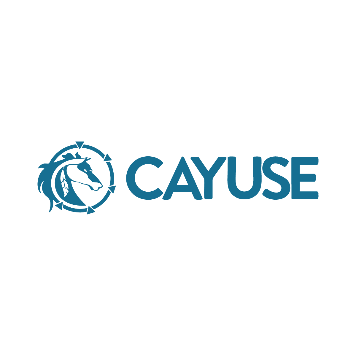Logo for Cayuse, a company, featuring a blue horse head within a compass-like circle, next to the word