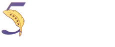 5 Star Mobile Notary Service | Desoto, TX