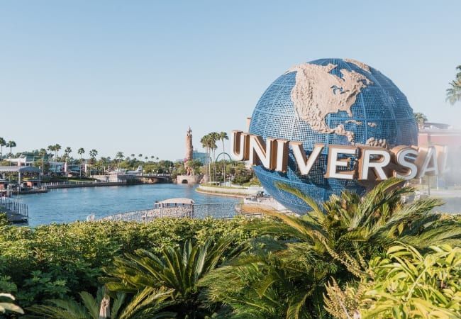 Looking up at a palm tree against a blue sky