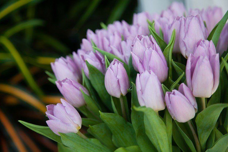 Reception - Bestey Matthews