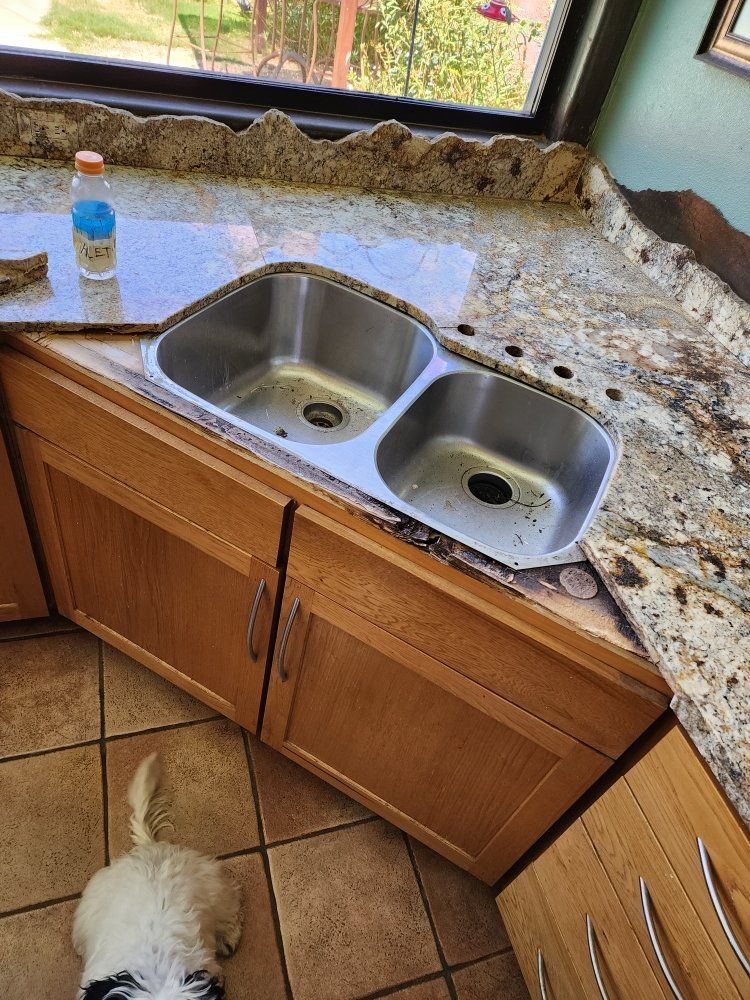 Kitchen sink installed in a granite countertop above wood cabinets, with a dog in the foreground.