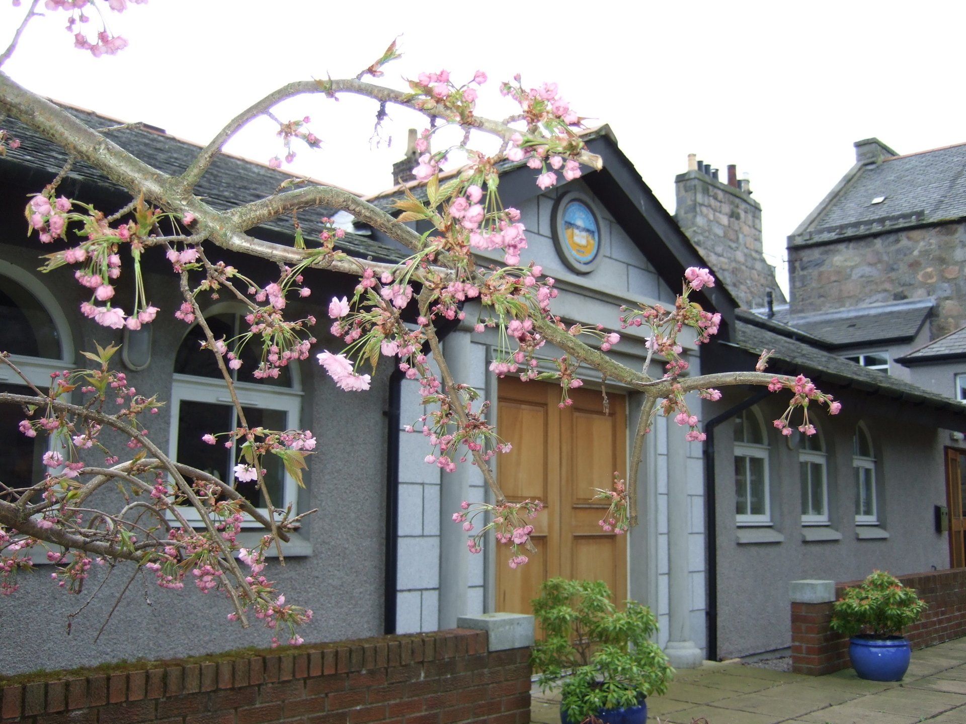 Aberdeen Spiritualist Centre, The Sanctuary with blossoming tree in foreground
